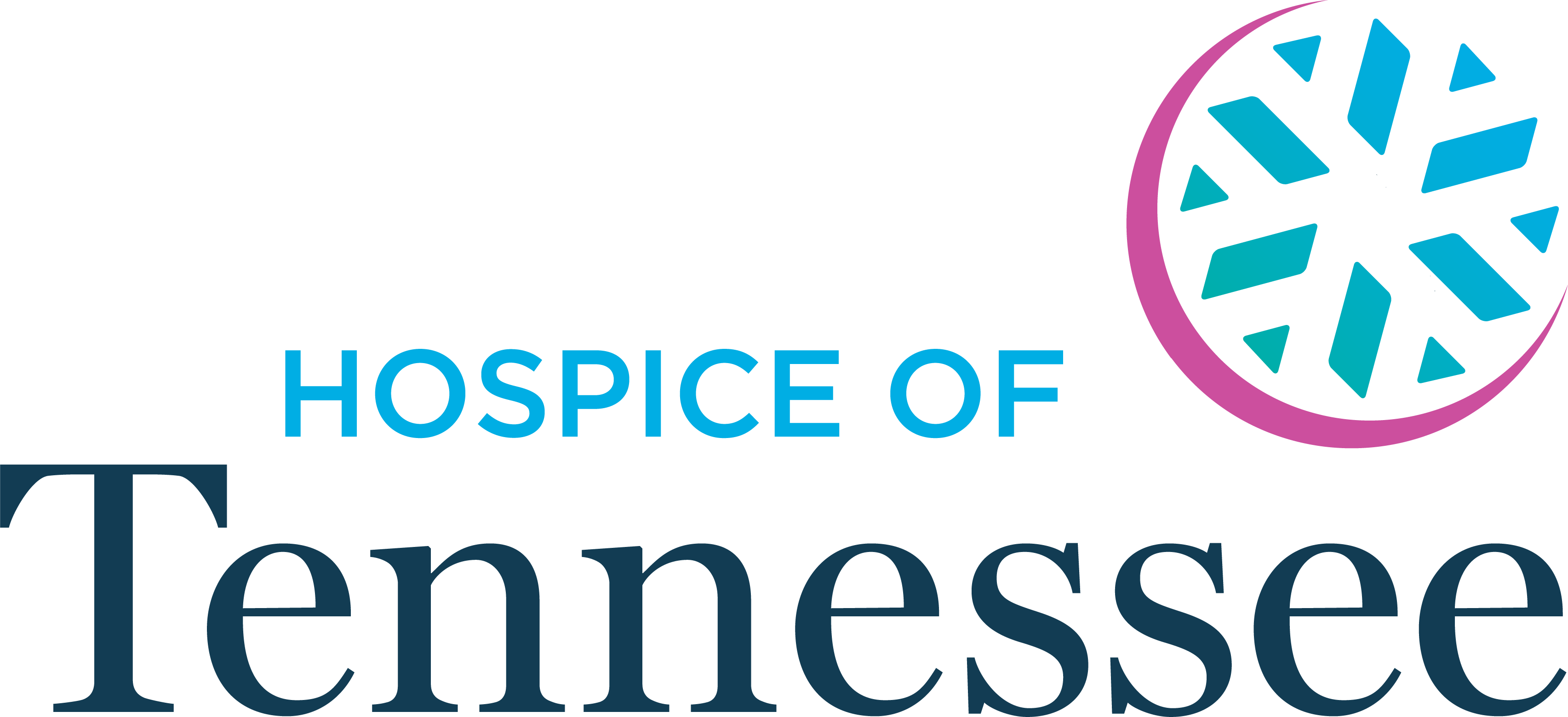 Hospice of Tennessee Logo
